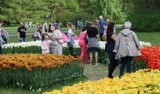 Ogród botaniczny w Łodzi. Ruszają warsztaty o ziołolecznictwie