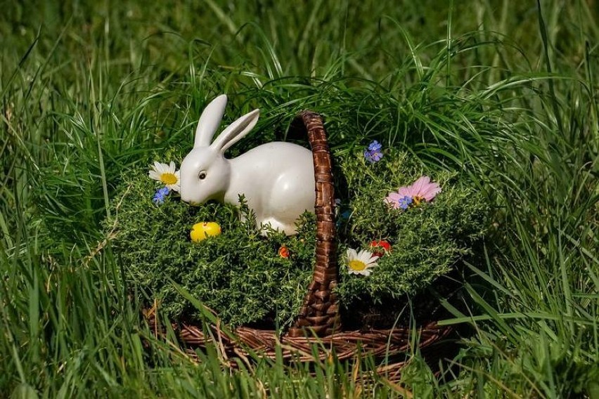 Jest wielce prawdopodobne, że zostanie zrealizowany...