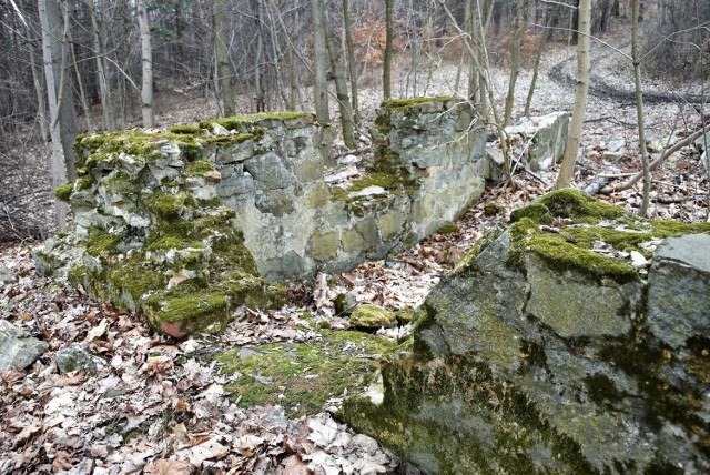 Bursztet - ruiny wsi w lesie pod Głubczycami.