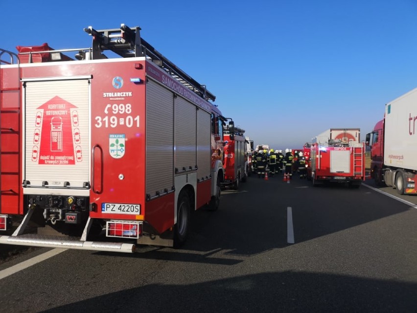 PILNE! Wypadek na A2 pod Bukiem. Bus uderzył w tira