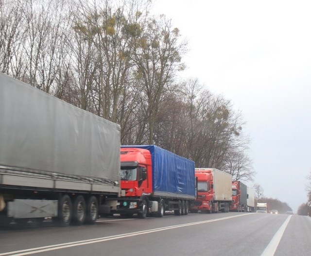 12 godzin muszą czekać na odprawę kierowcy samochodów ciężarowych, które stoją w Koroszczynie