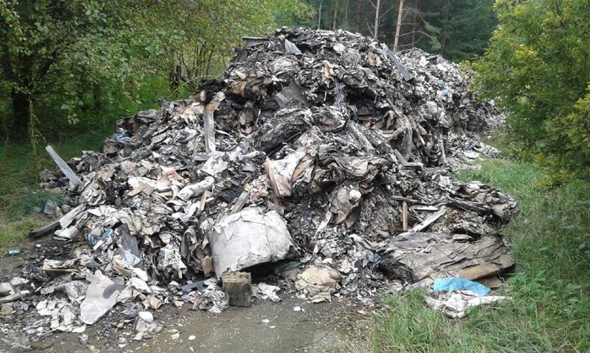 Kilka ton odpadów i śmieci wylądowało w rejonie ulic Ornej i...