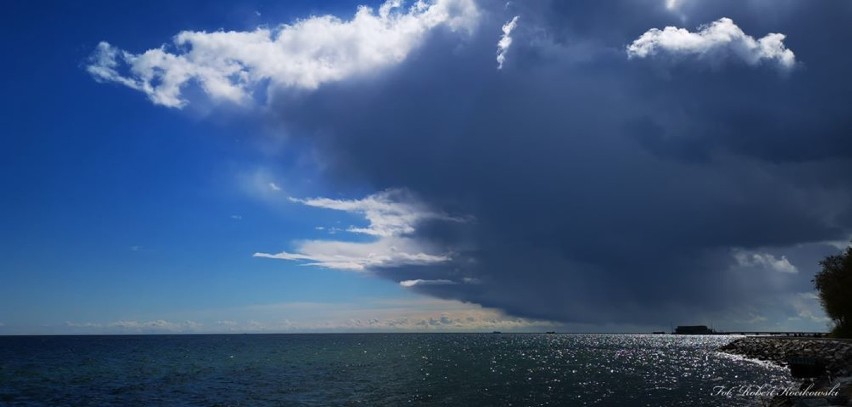 Gdynia w Waszym obiektywie. Nasi Czytelnicy kolejny raz nie zawiedli. Symbole miasta i Magda Gessler na fotografiach  