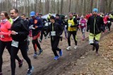 Charytatywny bieg dla Ukrainy na toruńskiej Barbarce. Uczestników czeka 5 km