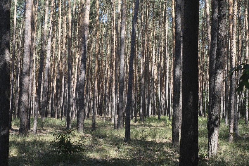 W ramach programu małej retencji powstanie 112 nowych...