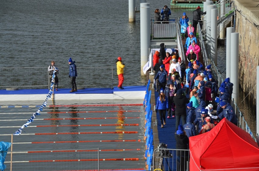 Ostatnie, niedzielne starty pływaków w Mistrzostwach Świata w Lodowym Pływaniu w Głogowie (4-6.02). Zdjęcia