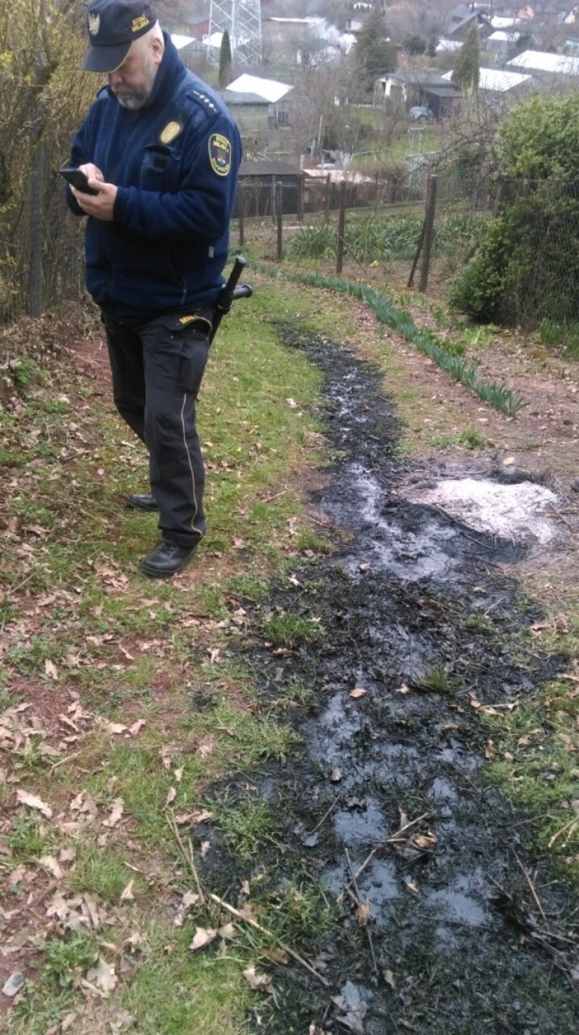 Bezmyślne spalanie odpadów roślinnych na terenie ogródków...