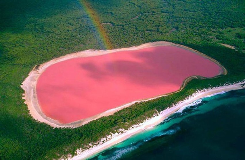 Lake Hillier to bezodpływowe jezioro znajdujące się na...