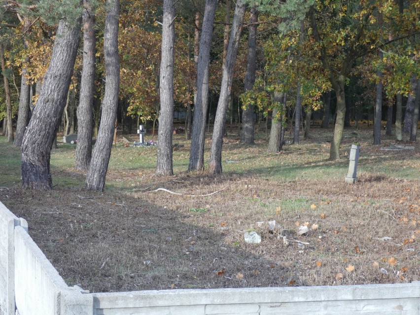 O cmentarzu przy Wiśniowej pamiętają nieliczni [ZDJĘCIA]