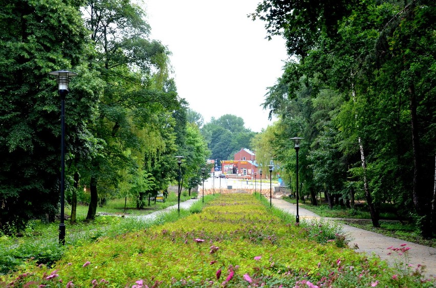 Rewitalizacja parku w Wojkowicach