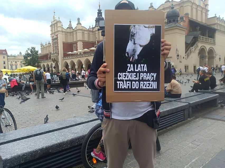 Kraków. Kolejna awantura na proteście przeciw dorożkom. Interweniowała policja