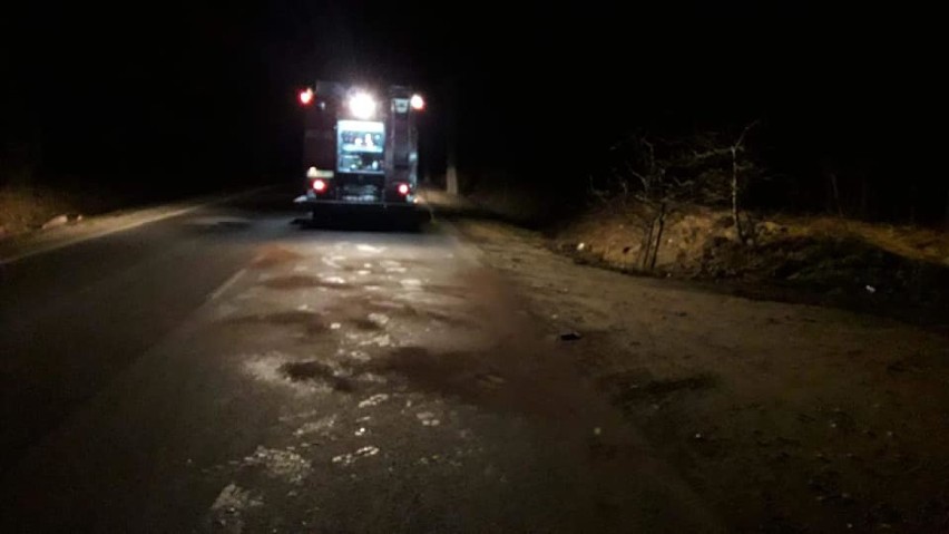 Wypadek na trasie Korne - Lipusz 22.03.2021. Jeleń wyskoczył na drogę i zderzył się z samochodem osobowym