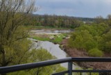 Wieża w Zabełkowie kusi widokami. Podziwiaj meandry Odry, góry i ciekawą panoramę. Jest też trasa na spacer i rower