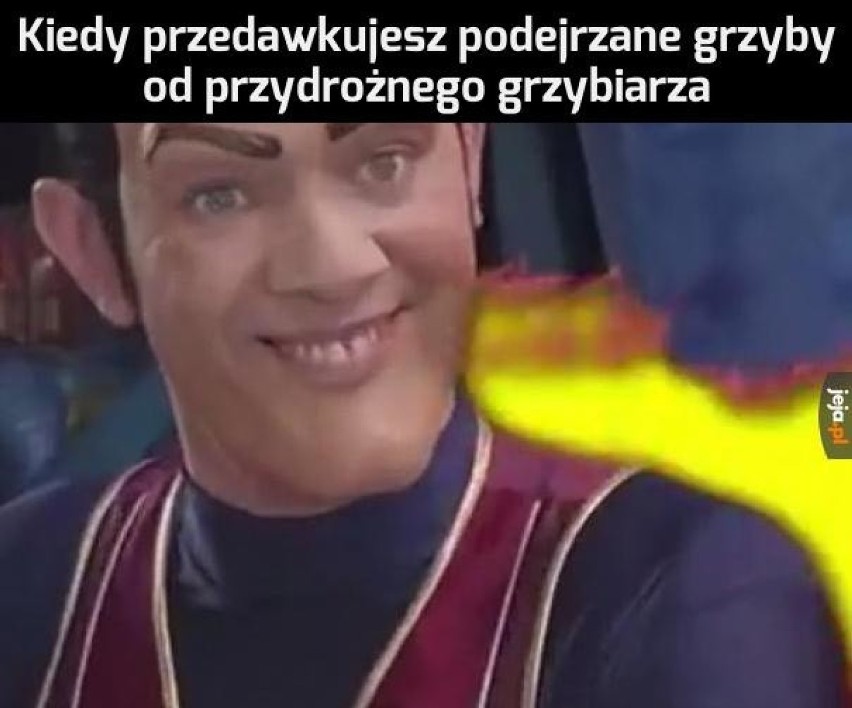 MEMY o grzybiarzach! Grzybobranie na wesoło.