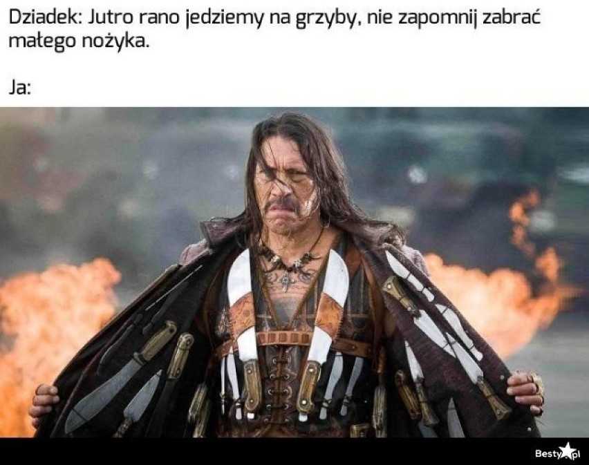 MEMY o grzybiarzach! Grzybobranie na wesoło.