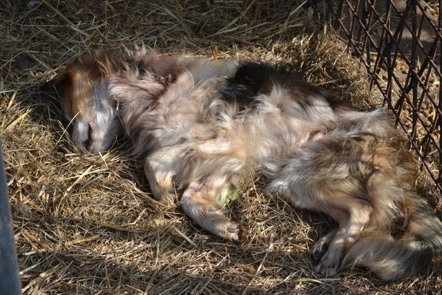 Sąd w Lublińcu rozpatrzy sprawę zadośćuczynienia dla...