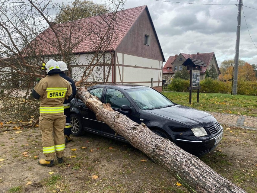 Kolejne akcje bytowskich strażaków spowodowane przez silny wiatr| ZDJĘCIA