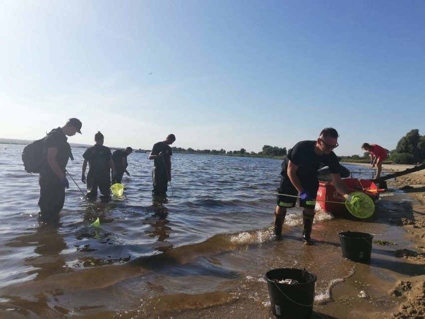 Plaża zamknięta przez cały weekend? W Lubczynie czekają na wyniki badań