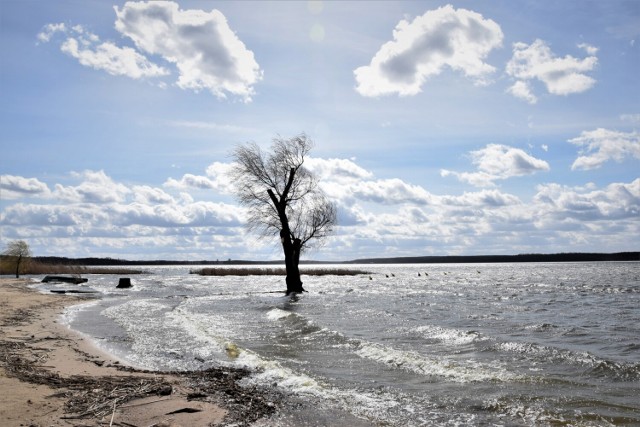 Zbąszyń. Nad jeziorem zimny wiatr i piękne chmury. Plaża miejska "Łazienki" - 05.04.2022