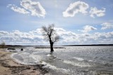 Zbąszyń. Nad jeziorem zimny wiatr i piękne chmury. Plaża miejska "Łazienki" i kamping - 05.04.2022 [Zdjęcia]