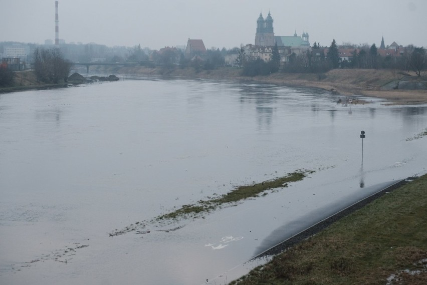 Wartostrada pod wodą. Wysoki poziom rzek w Poznaniu