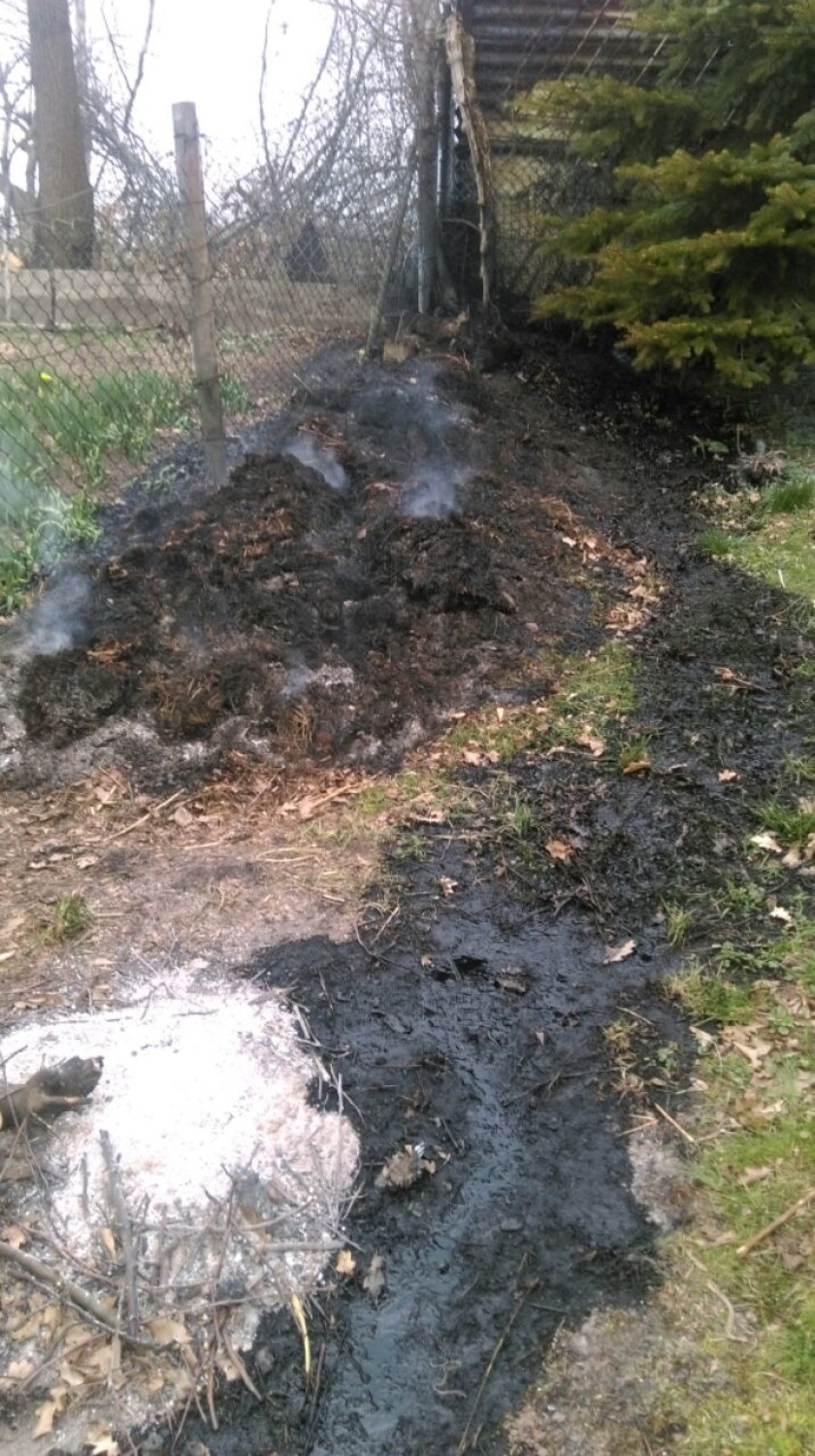 Bezmyślne spalanie odpadów roślinnych na terenie ogródków...