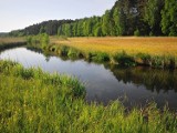 Schodno to jedna z najmniejszych miejscowości na terenie gminy Dziemiany. Zobacz, jak tam pięknie