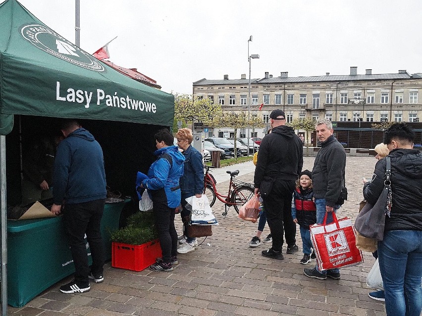 Tak było podczas dzisiejszej akcji Drzewko za surowce w...