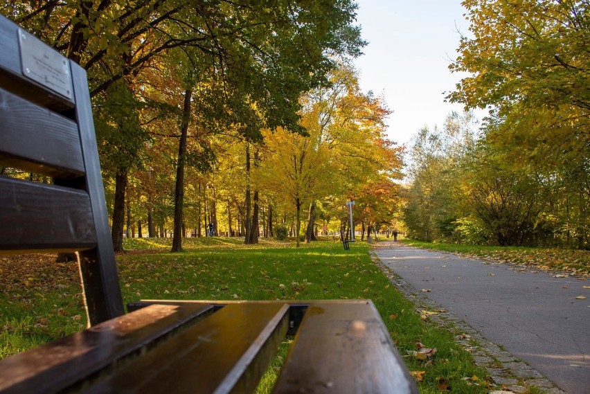 Myślenice i Dobczyce polecają się na jesienny spacer. Jest pięknie! [ZDJĘCIA]