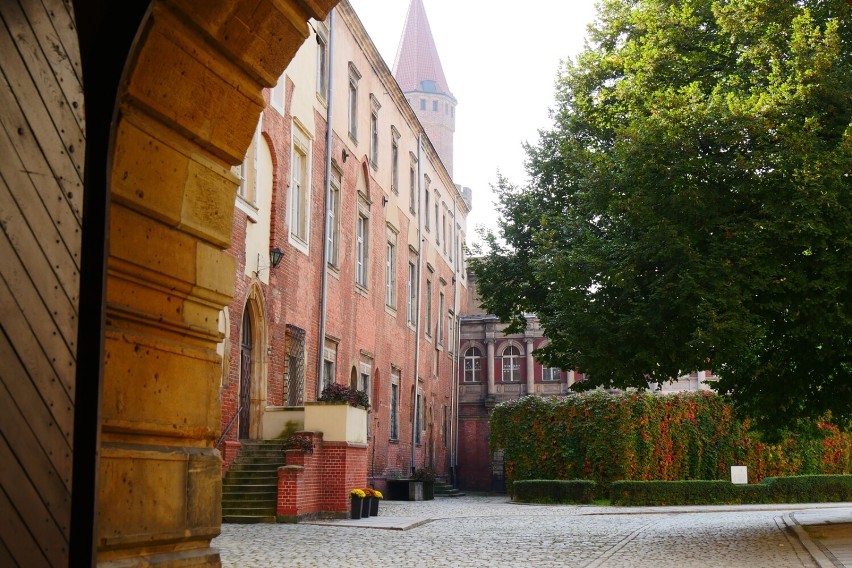 Legnica. Przed nami ostatni weekend sezonu turystycznego. Skorzystaj z ostatniej okazji i wejdź na wieżę widokową!