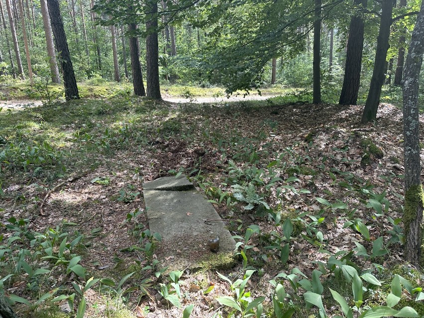 Cmentarz żydowski w Bączku. Prace porządkowe zainicjował tu mężczyzna skazany za podwójne zabójstwo....