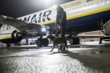 Pierwszy w Polsce trening przyszłych psów przewodników na lotnisku w Poznaniu. Zobacz zdjęcia 