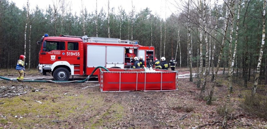 9 zastępów strażaków na sygnałach wjechało do lasu pod Grubskiem