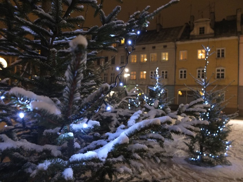 Zimowe Opole nocą