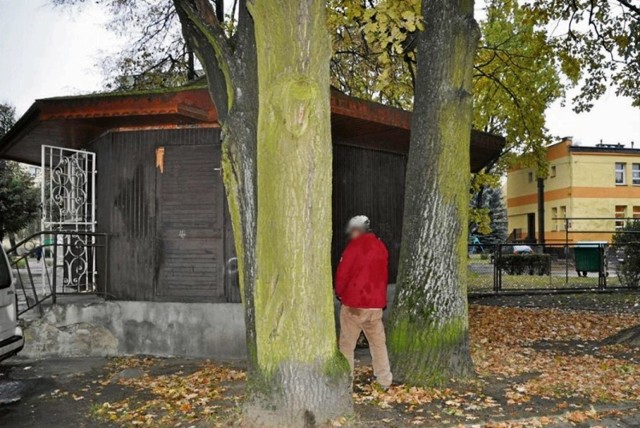 Takie obrazki znowu, niestety, wróciły w okolice przedszkola na Reja.