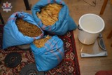 Krasnystaw: W jednym z domów zabezpieczono 11 kg krajanki, liście tytoniu i marihuanę