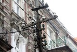 Wrocław: Brak sygnalizacji na Milenijnym. Kilkanaście ulic bez prądu