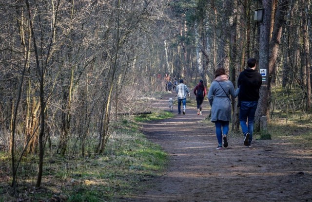 Od 20.04. luzowanie rządowych restrykcji związanych z pandemią koronawirusa