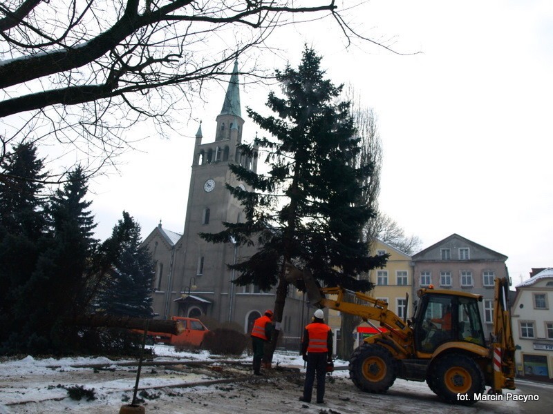 Bytów: Wycinka drzew na rynku