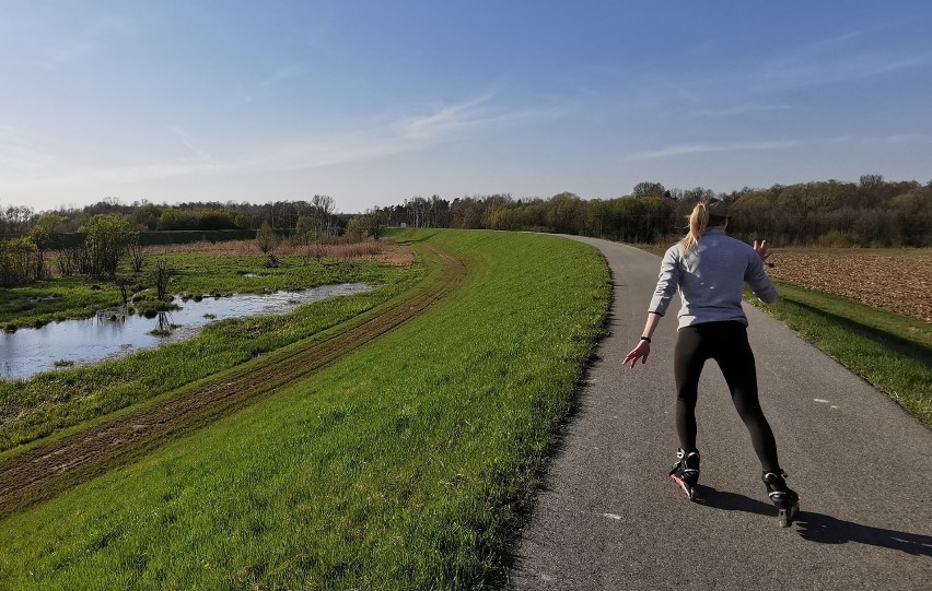 Drogi dla rowerzystów wykorzystywane są także przez rolkarzy