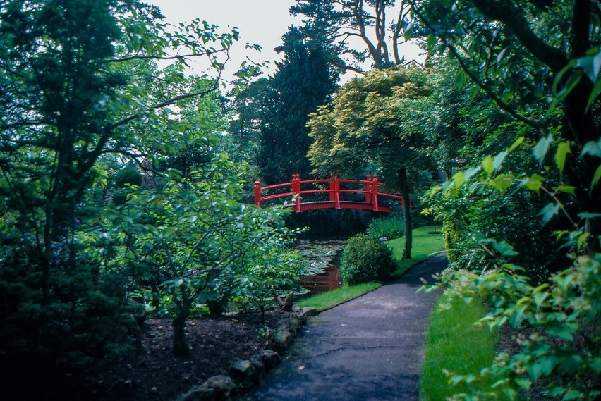 Irish National Stud and Gardens w hrabstwie Kildare w...