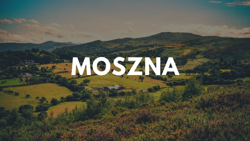 Najbardziej znana polska Moszna to wieś w województwie...