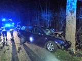 Gm. Malechowo - auto uderzyło w drzewo. Kierowca zabrany do szpitala ZDJĘCIA