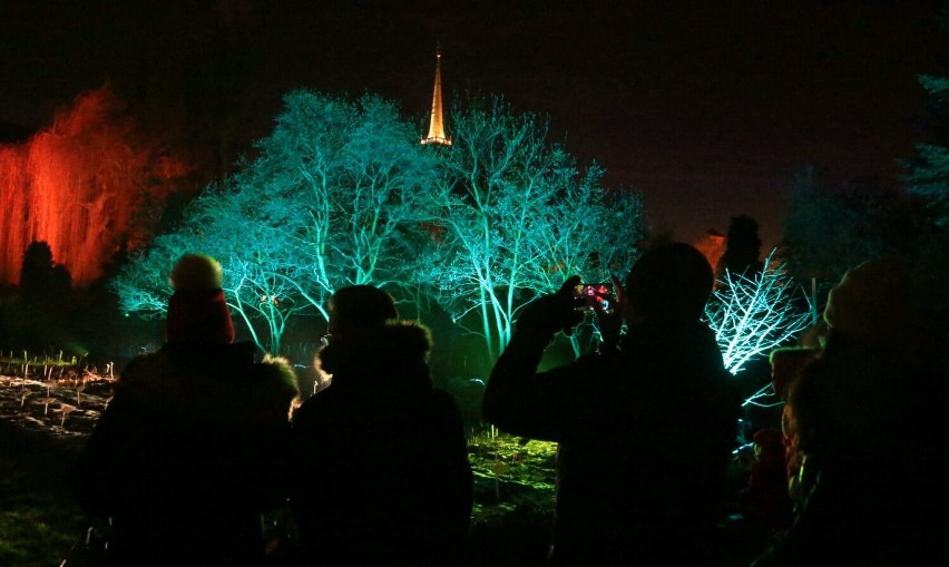 Tak pięknie wyglądał Ogród Botaniczny w ubiegłym roku