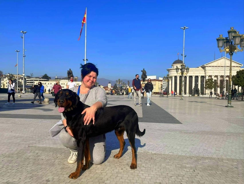 Pies gończy Transywański z Jeżyczek został Championem podczas wystawy psów w Macedonii