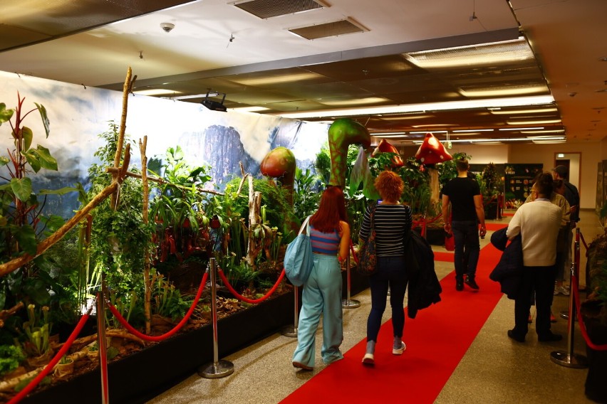 Światowa wystawa roślin na Stadionie Narodowym. Rośliny mięsożerne, potworne i bonsai