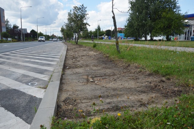 Prace obejmują m.in. usunięcie nadmiaru ziemi i trawnika przy krawężnikach.