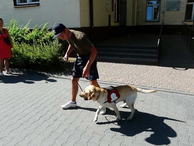 Fundacja Ami organizuje szkolenie psów dla niepełnosprawnych...