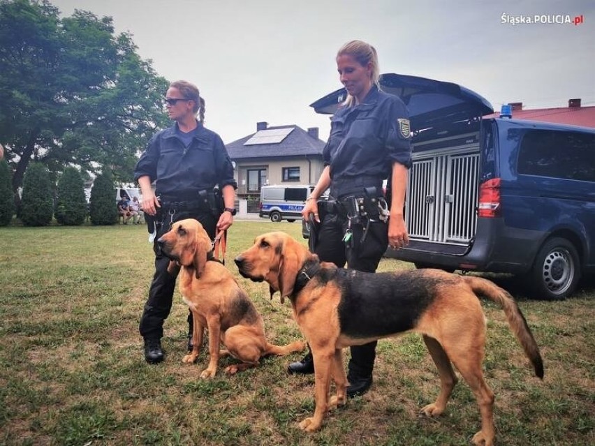 Dwie osoby zgłosiły, że widziały Jaworka w Brzezinach. Policja sprawdzała zgłoszenia