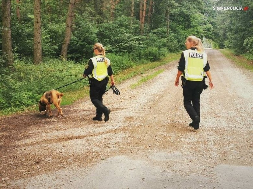 Dwie osoby zgłosiły, że widziały Jaworka w Brzezinach. Policja sprawdzała zgłoszenia